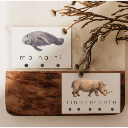 Flashcards